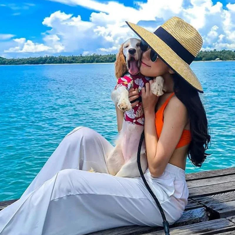 Sd3e8a04e80df41fca976222eb1fbdc19p